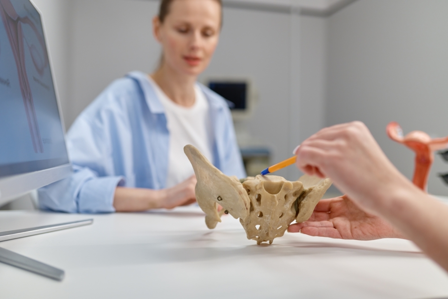Closeup gynecologist showing structure of pelvis and pelvic floor to woman